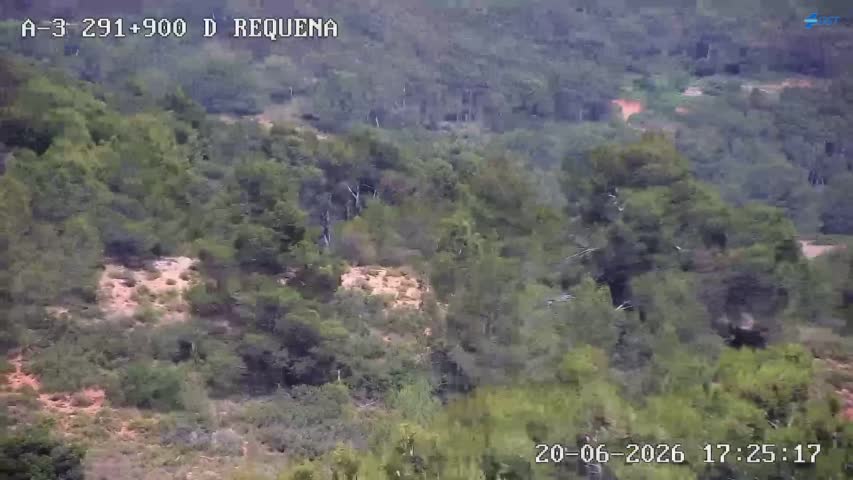 Cámara Valencia A-3 Km 291,8