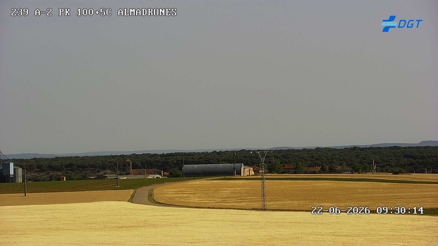 Cámara Algora (Km 100.5)