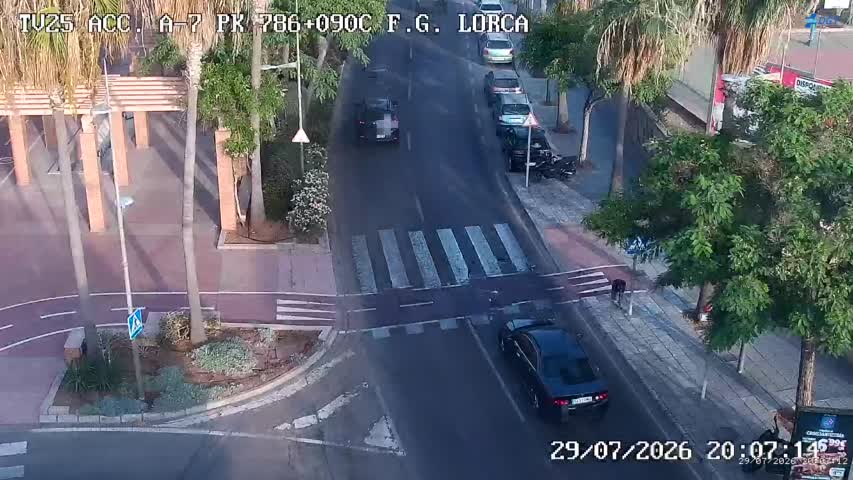 Cámara Almería A-7 Km 786,0