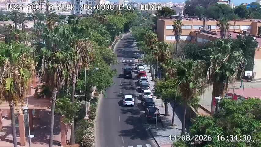 Cámara Almería A-7 Km 786,0
