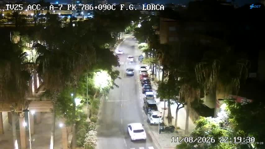 Cámara Almería A-7 Km 786,0