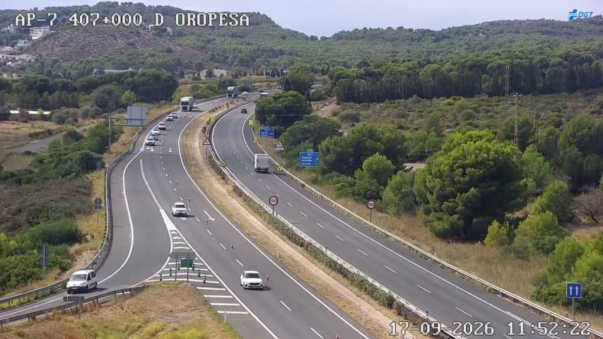Cámara Castellón AP-7 Km 407,0