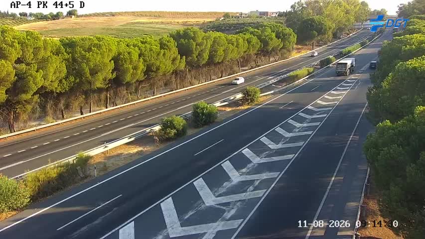 Cámara Sevilla Km 44,5 (AP-4)