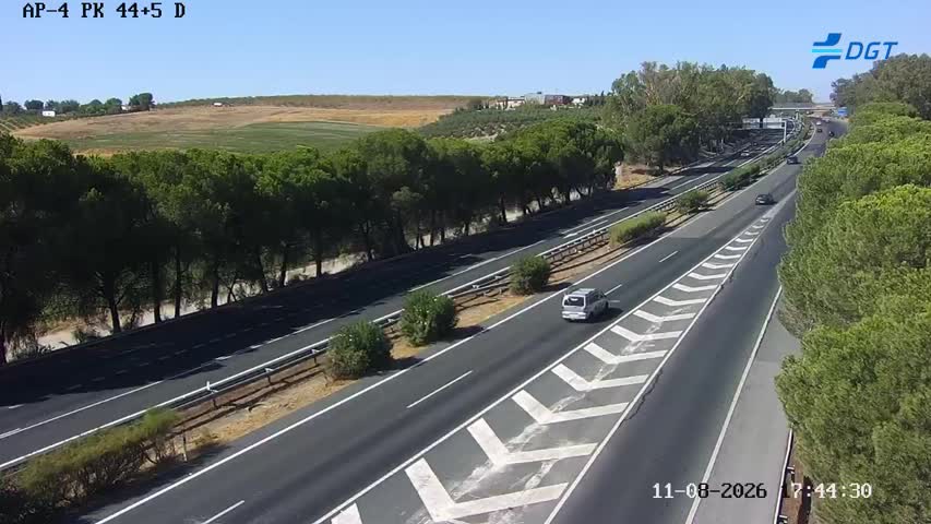 Cámara Sevilla Km 44,5 (AP-4)