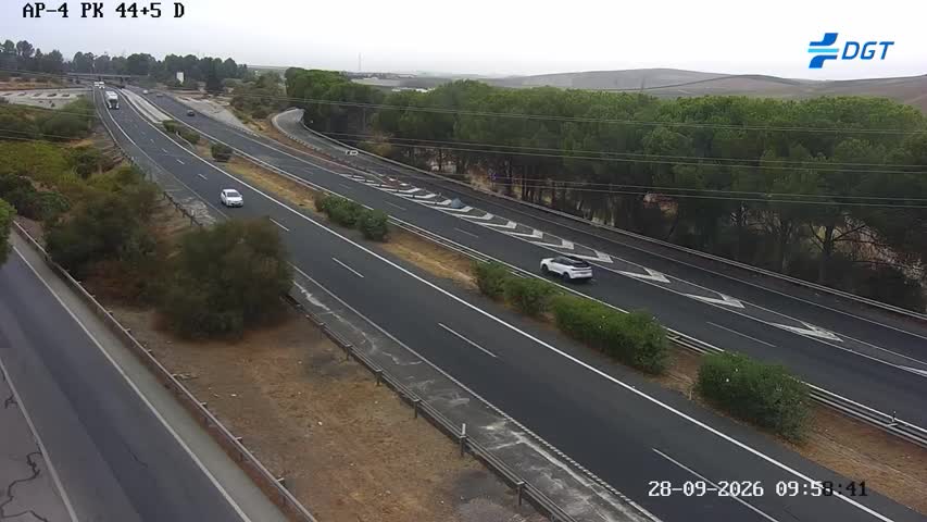 Cámara Sevilla Km 44,5 (AP-4)