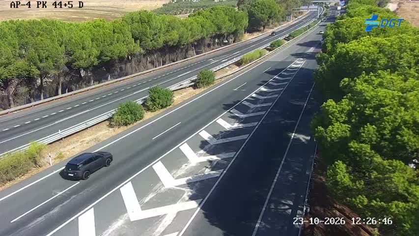 Cámara Sevilla Km 44,5 (AP-4)