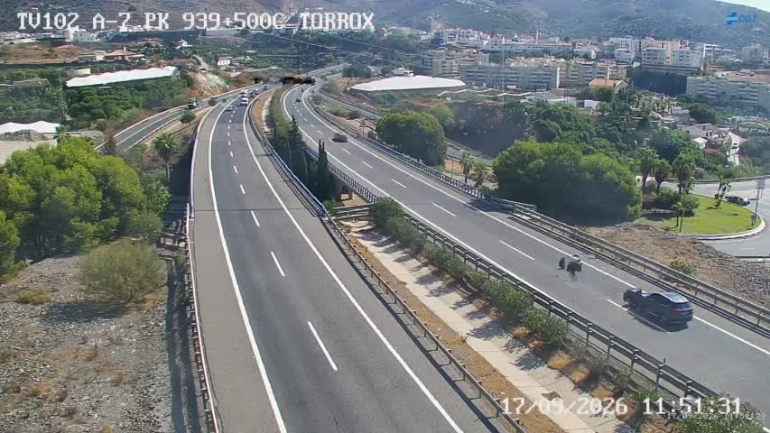 Cámara Málaga A-7 Km 939,5