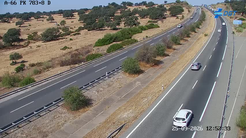Cámara Sevilla Km 783,8 (A-66)