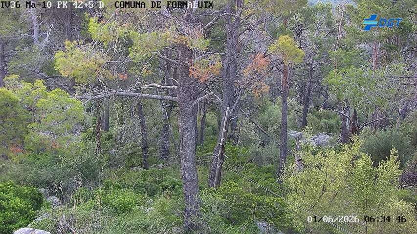 Balears, Illes — Ma-10 km 42