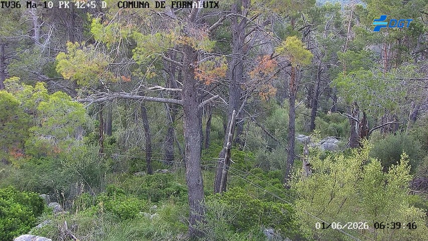 Balears, Illes — Ma-10 km 42