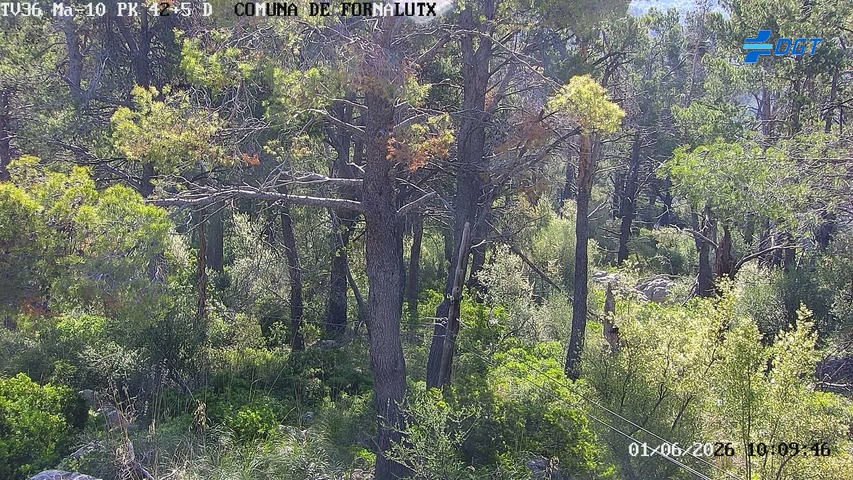 Balears, Illes — Ma-10 km 42