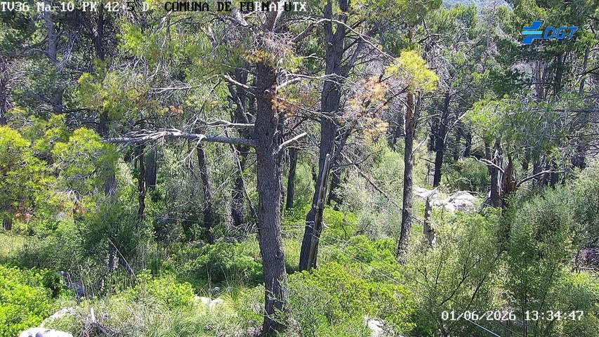Balears, Illes — Ma-10 km 42