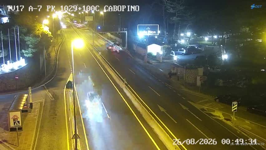 Cámara Málaga A-7 Km 1029,1