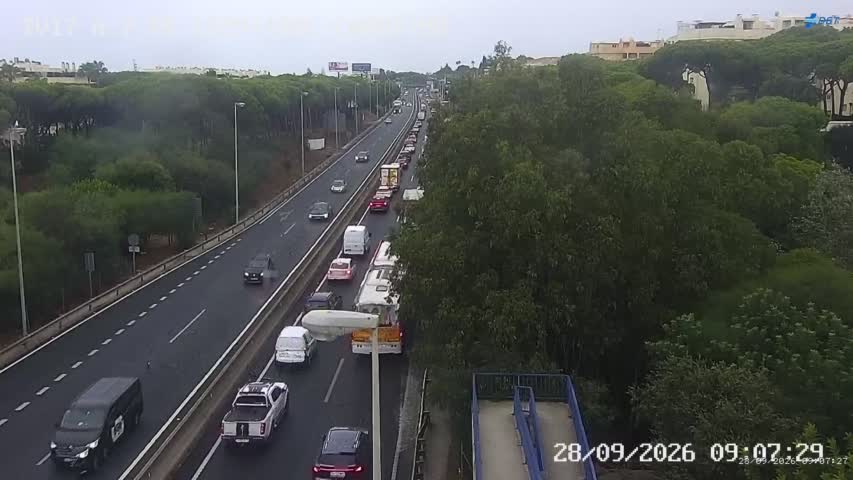 Cámara Málaga A-7 Km 1029,1