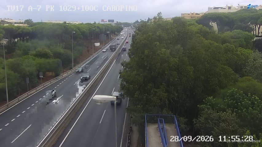 Cámara Málaga A-7 Km 1029,1