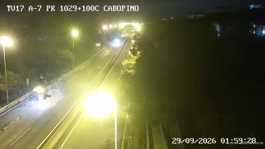 Cámara Málaga A-7 Km 1029,1