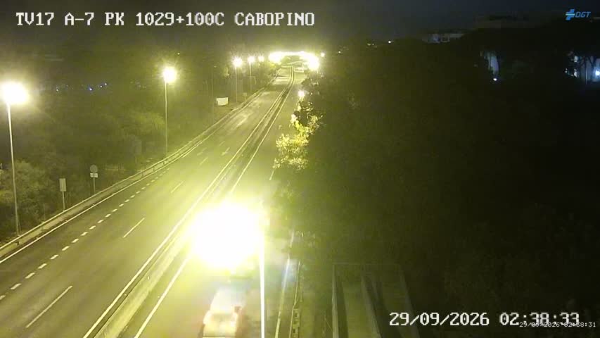 Cámara Málaga A-7 Km 1029,1