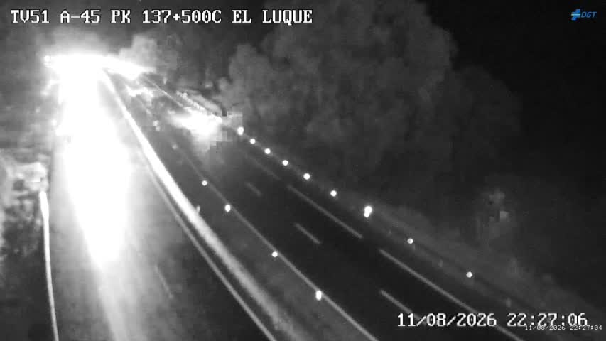 Cámara Málaga A-45 Km 137,5