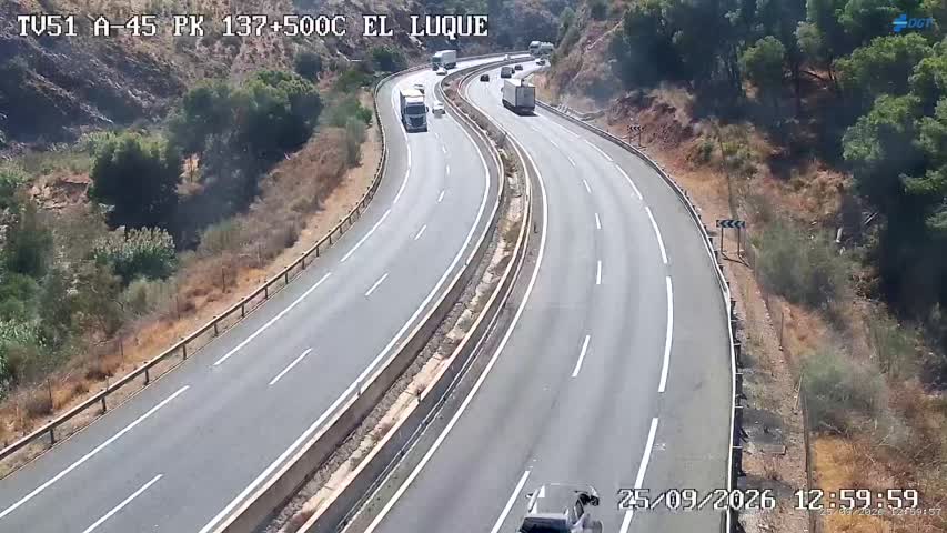 Cámara Málaga A-45 Km 137,5
