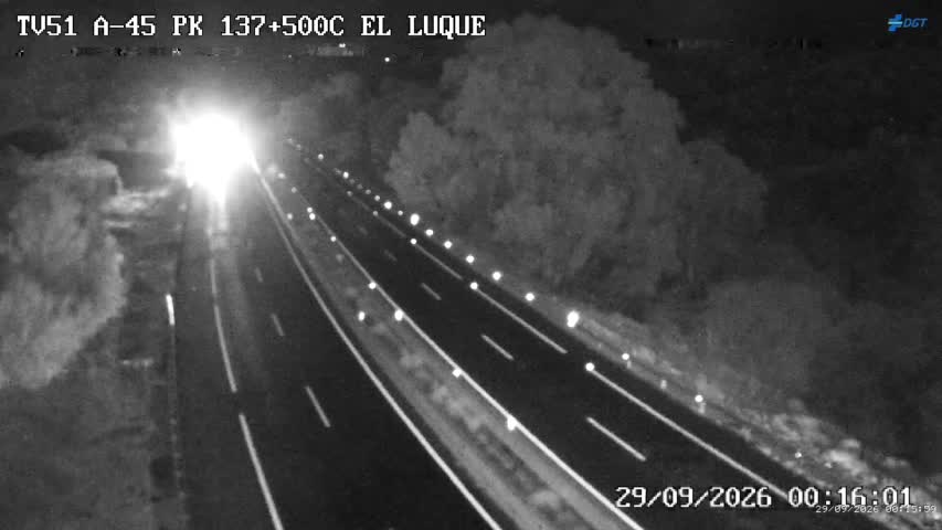 Cámara Málaga A-45 Km 137,5