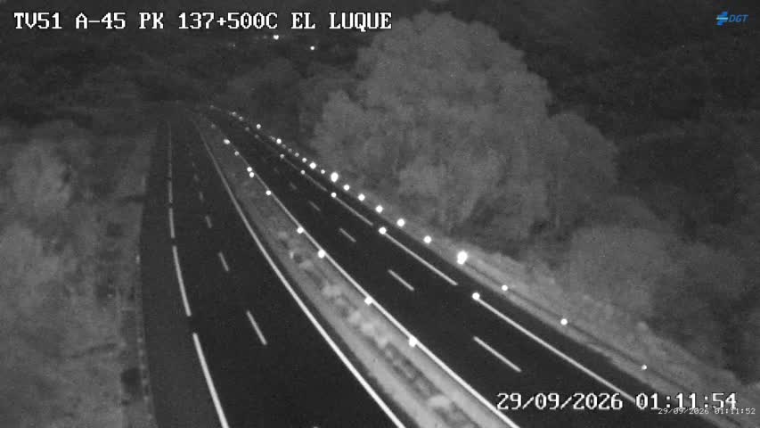 Cámara Málaga A-45 Km 137,5