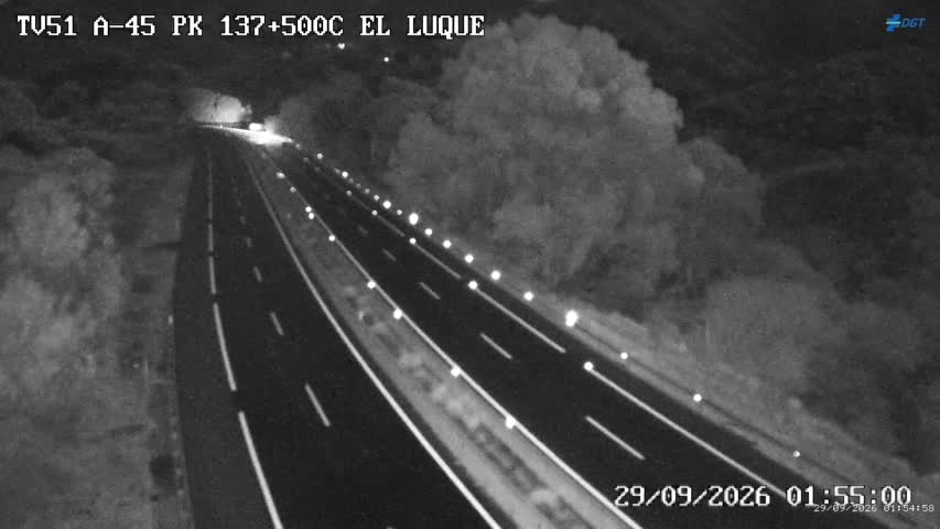 Cámara Málaga A-45 Km 137,5