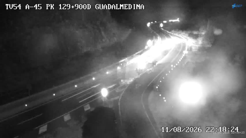 Cámara Málaga A-45 Km 129,9