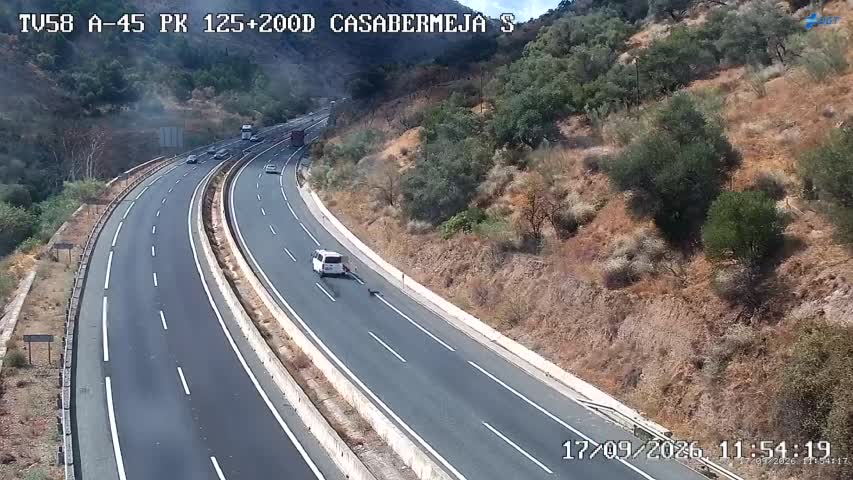 Cámara Málaga A-45 Km 125,2