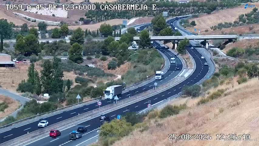 Cámara Málaga A-45 Km 123,6