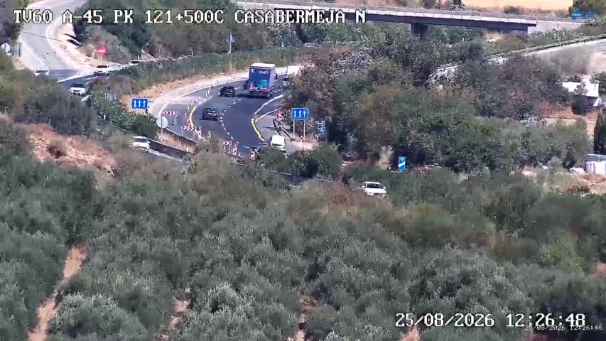 Cámara Málaga A-45 Km 121,5