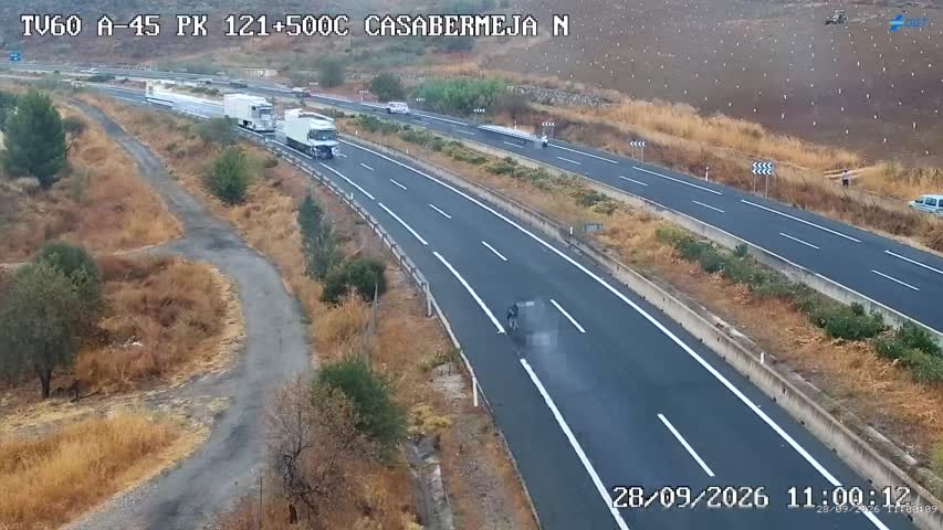 Cámara Málaga A-45 Km 121,5