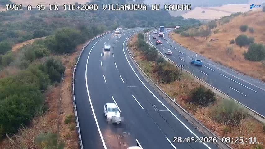 Cámara Málaga A-45 Km 118,2