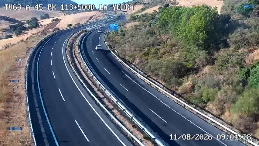 Cámara Málaga A-45 Km 113,5