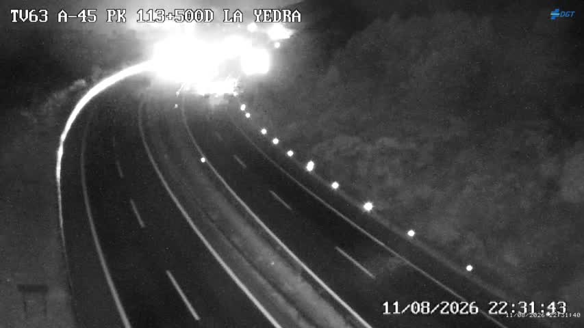 Cámara Málaga A-45 Km 113,5