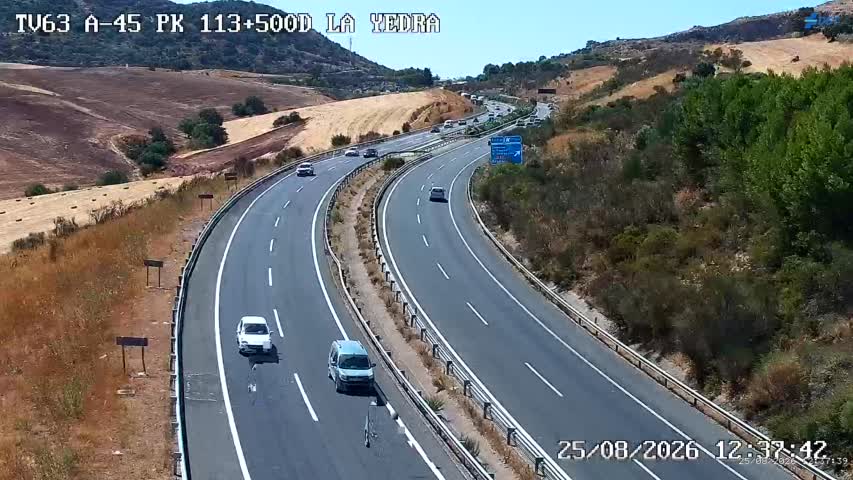 Cámara Málaga A-45 Km 113,5