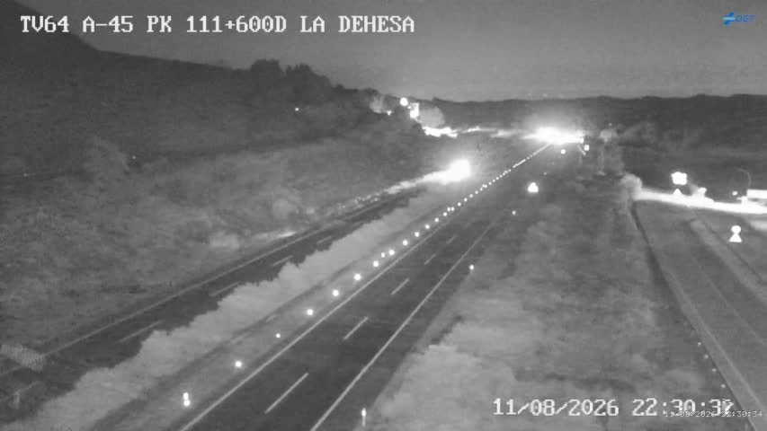 Cámara Málaga A-45 Km 111,6