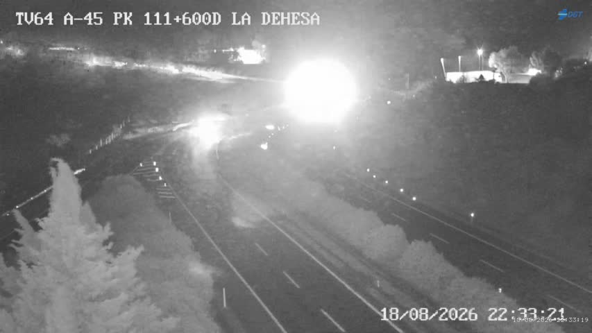 Cámara Málaga A-45 Km 111,6
