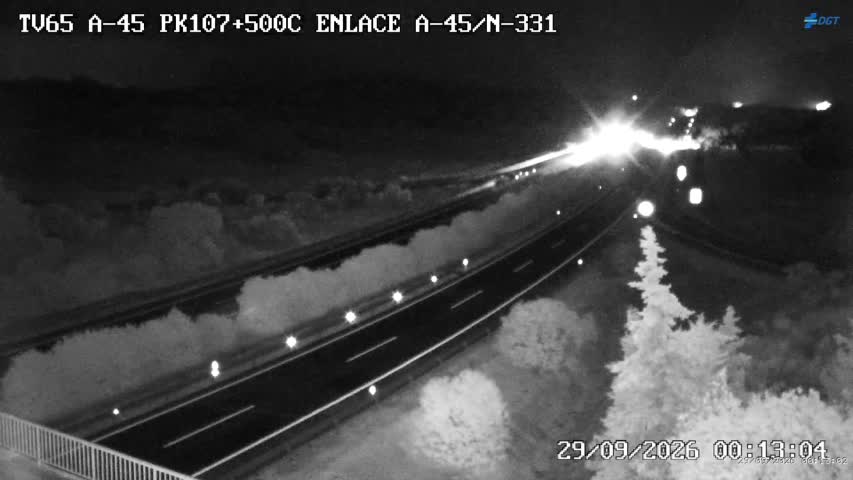 Cámara Málaga A-45 Km 107,5