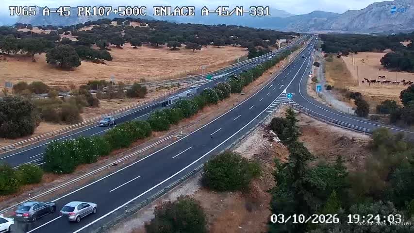Cámara Málaga A-45 Km 107,5