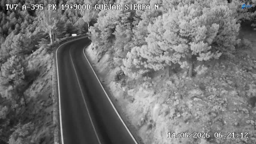 Cámara Sierra Nevada Km 19,9