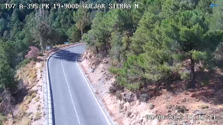 Cámara Sierra Nevada Km 19,9