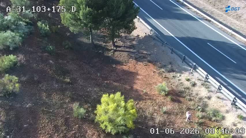 Albacete — A-31 km 103