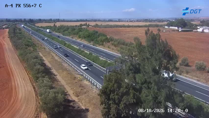 Cámara de tráfico en la A-4, km 556.74