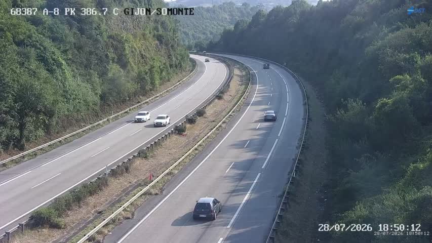 Cámara A-8 Asturias Km 386,7