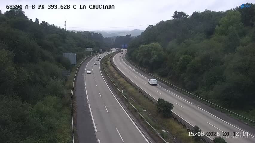 Cámara A-8 Asturias Km 393,628
