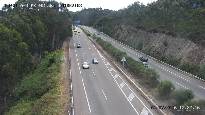 Cámara A-8 Asturias Km 401,3