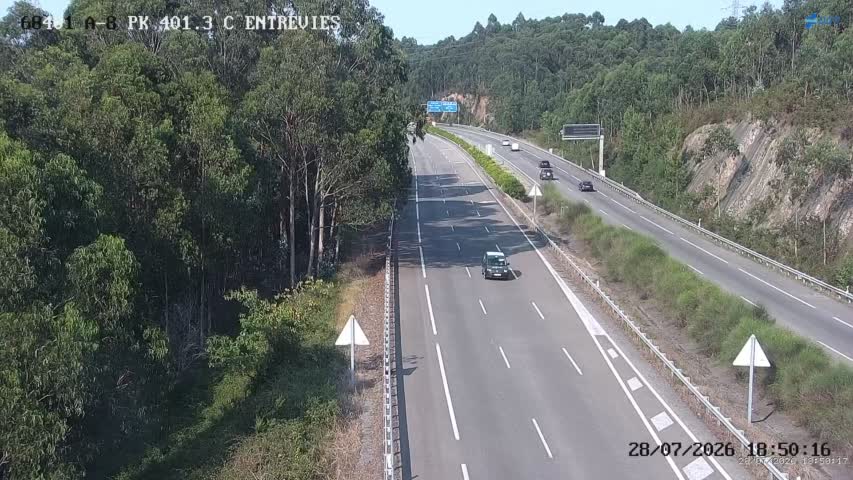 Cámara A-8 Asturias Km 401,3