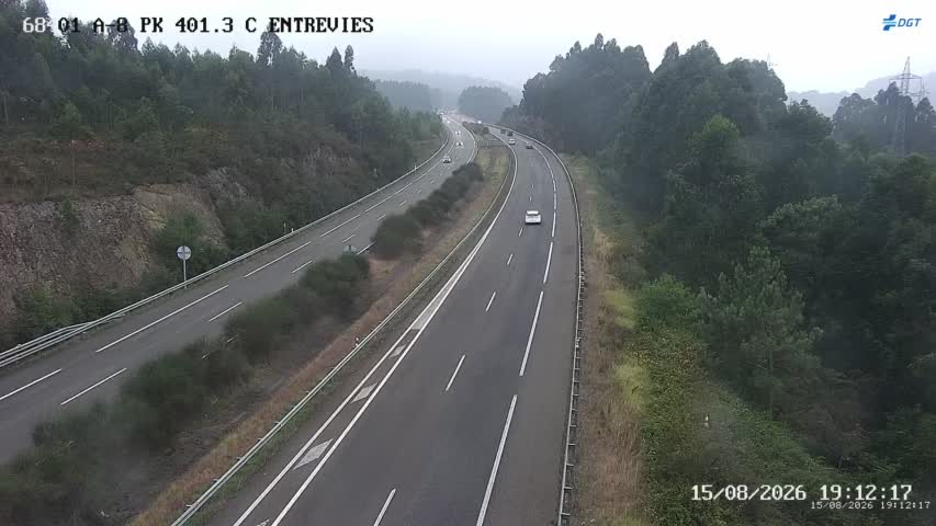 Cámara A-8 Asturias Km 401,3