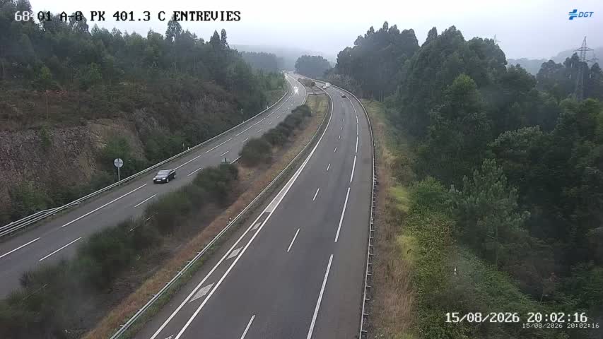 Cámara A-8 Asturias Km 401,3