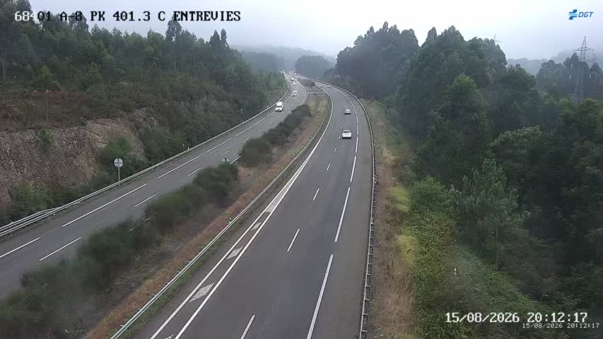 Cámara A-8 Asturias Km 401,3
